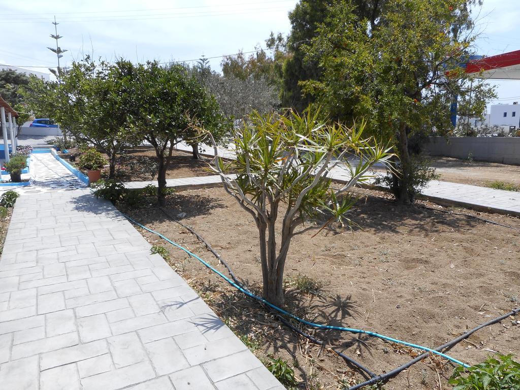 Nikoletta