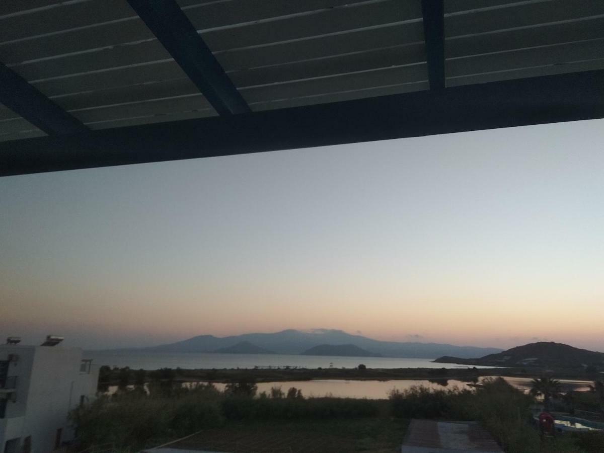 Nikoletta